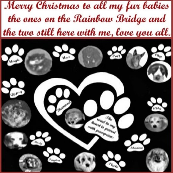 Hi my name is Rhonda and I am thankful and blessed. - Picture 2 of 5